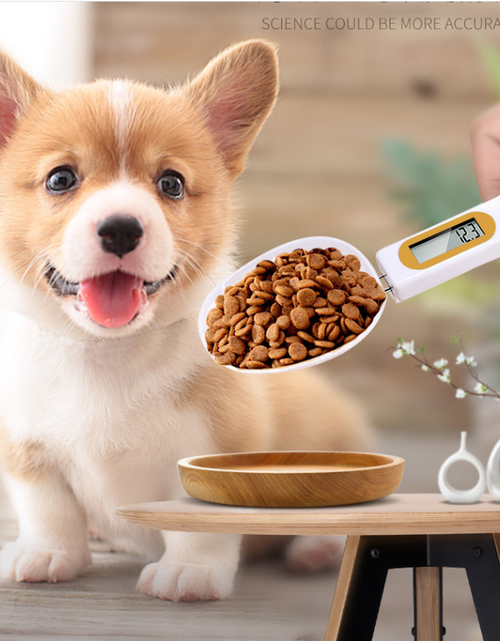 Load image into Gallery viewer, Pet Food Spoon with Scale
