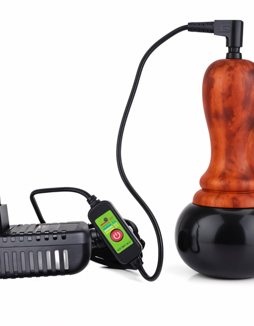 Load image into Gallery viewer, Electric Hot Stone Massager - Portable Bian Stones Gua Sha Scraping Home Massage Therapy Kit - Handheld Rock Warmer Wand Tool Set with Temperature Adjustment Control for Back Neck Body Pain Relief
