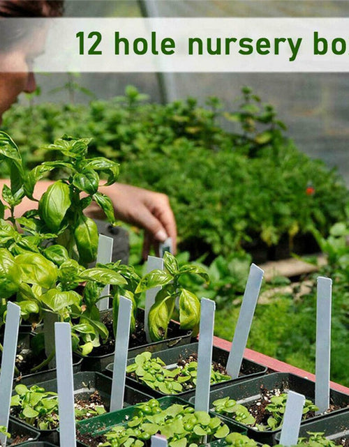 Load image into Gallery viewer, Insulated Seedling Tray
