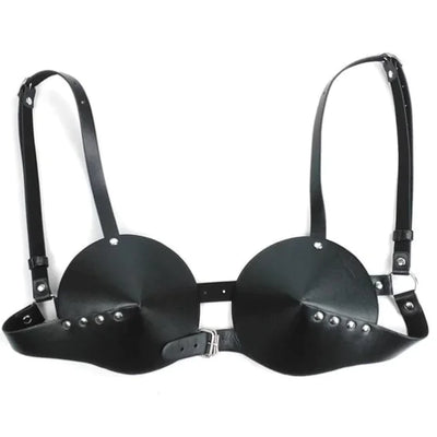Lingerie, Leather Wear, Temptation Costumes, Performance Outfits