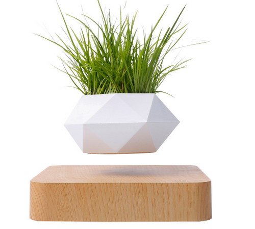 Load image into Gallery viewer, Floating Flower Pot for Home Decor
