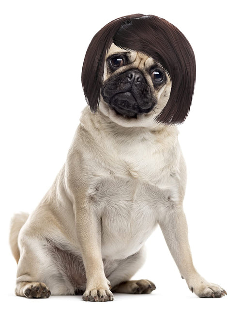 Charger l'image dans la visionneuse de galerie, Cobee Funny Dog Cat Cosplay Wig Pet Wig-Adjustable Costume Pet Funny Headwear Costumes Headgear for Small Medium Large Dog Cat Wigs Dress Up Decorations for Halloween Christmas Parties Festivals
