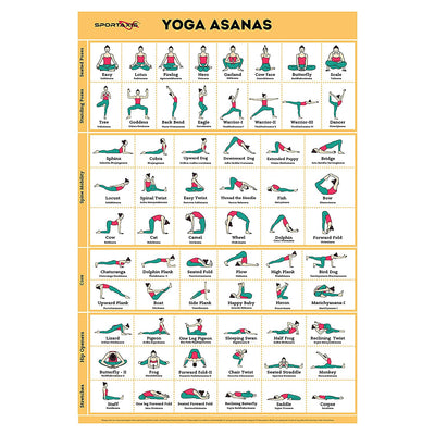 SPORTAXIS Yoga Poses Poster- 64 Yoga Asanas For Full Body Workout- Laminated Home Workout Poster With Colored Illustrations - English And Sanskrit Names