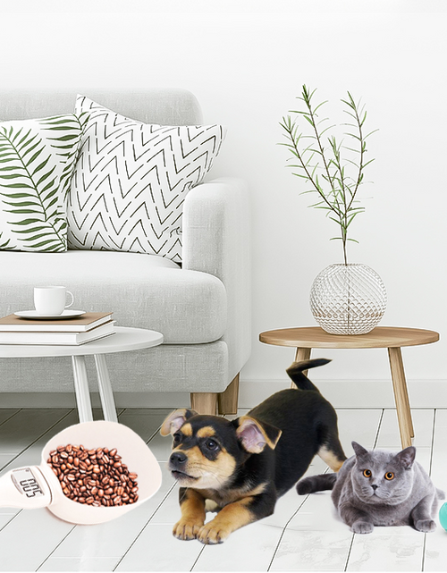 Load image into Gallery viewer, Pet Food Spoon with Scale
