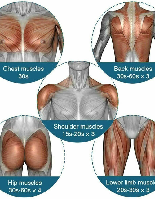 Load image into Gallery viewer, Massage Gun Percussion Massager Deep Tissue Muscle Vibrating Relaxing + 4 Heads
