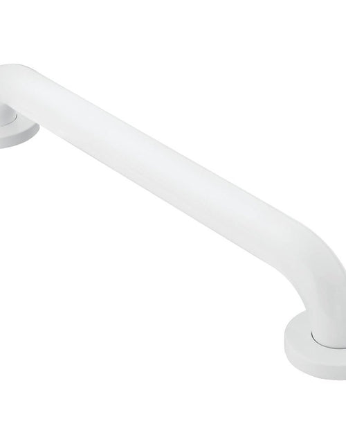 Cargar imagen en el visor de la galería, Moen R8716W Bathroom Safety 16-Inch Stainless Steel Bathroom Grab Bar with Concealed Screws Glacier White
