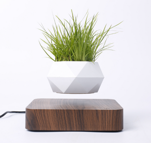 Load image into Gallery viewer, Floating Flower Pot for Home Decor
