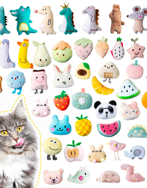 Load image into Gallery viewer, Jadive 50 Pcs Catnip Toys for Indoor Cat Plush Cats Toys Bulk Interactive Catnip Filled Kitten Toys Cat Chew Toy Pet Cats Supplies
