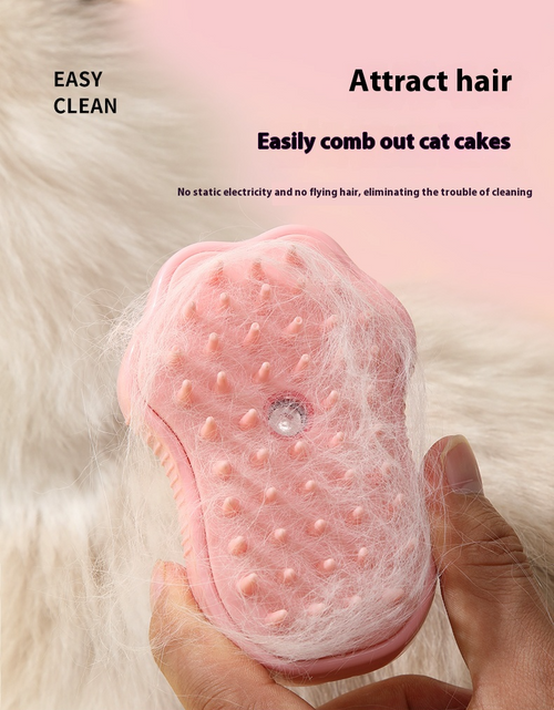 Load image into Gallery viewer, Pet Spray Massage Comb
