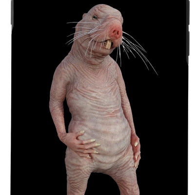 iPhone SE (2020) / 7 / 8 Naked Mole Rat - Wonderfully Weird Case
