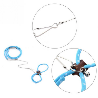 Hamster Training Leash for Outdoor Use and Accessories