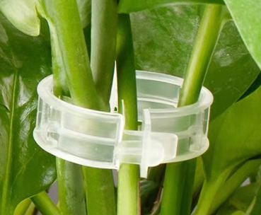 Load image into Gallery viewer, Plastic Plant Support Clips For Vines (One Set)
