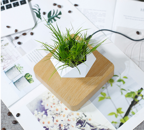 Load image into Gallery viewer, Floating Flower Pot for Home Decor
