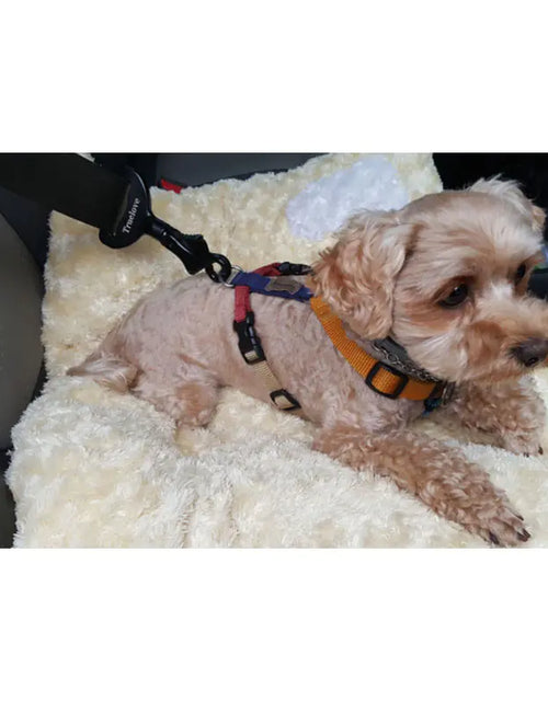 Load image into Gallery viewer, Pet Safety Belt for Dogs - Car Travel Accessories
