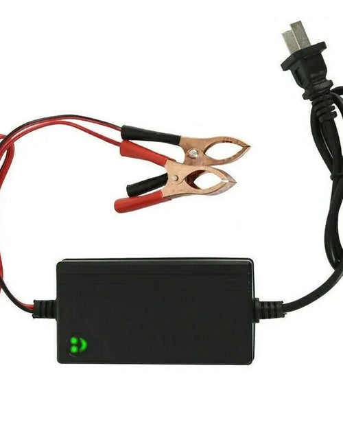 Cargar imagen en el visor de la galería, Cargador de batería portátil de 12V para auto, camión, mantenedor de goteo, barco, motocicleta
