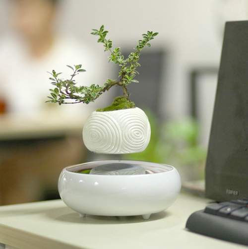 Load image into Gallery viewer, Floating Flower Pot for Home Decor
