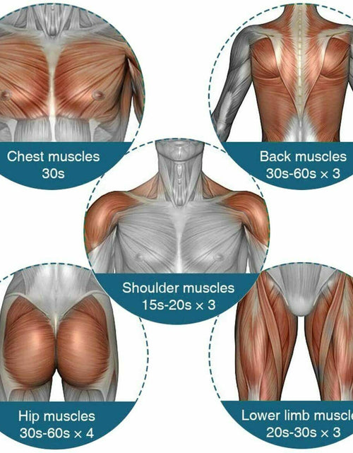 Load image into Gallery viewer, Massage Gun Percussion Massager Deep Tissue Muscle Vibrating Relaxing + 4 Heads
