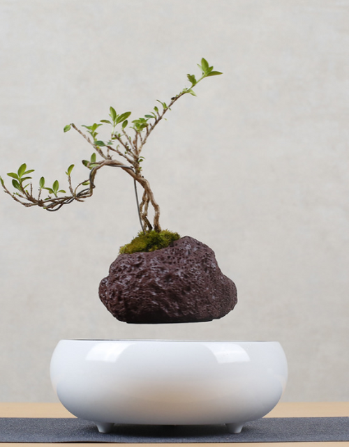 Load image into Gallery viewer, Floating Flower Pot for Home Decor
