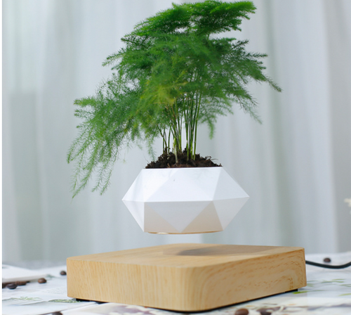 Load image into Gallery viewer, Floating Flower Pot for Home Decor
