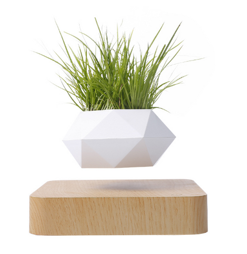 Load image into Gallery viewer, Floating Flower Pot for Home Decor
