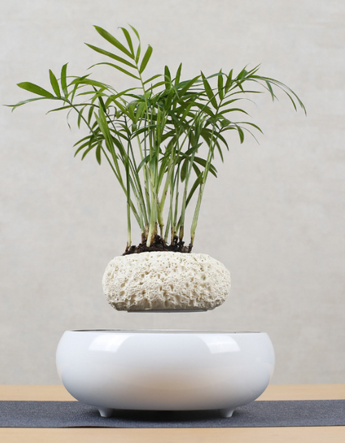 Load image into Gallery viewer, Floating Flower Pot for Home Decor
