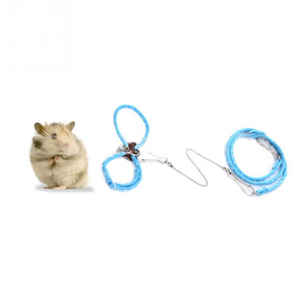 Laisse de dressage pour hamster pour usage extérieur et accessoires