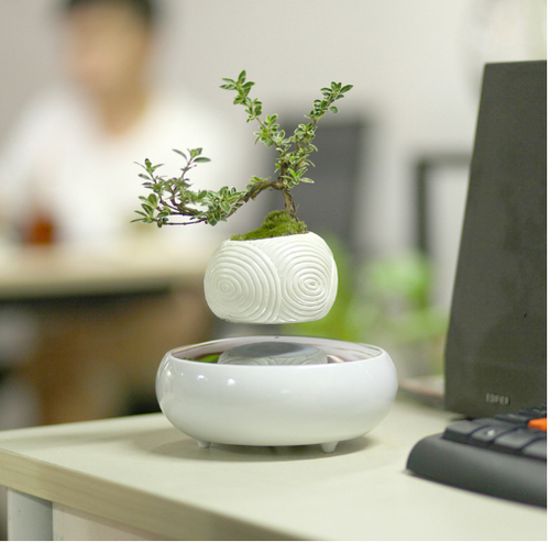 Load image into Gallery viewer, Floating Flower Pot for Home Decor
