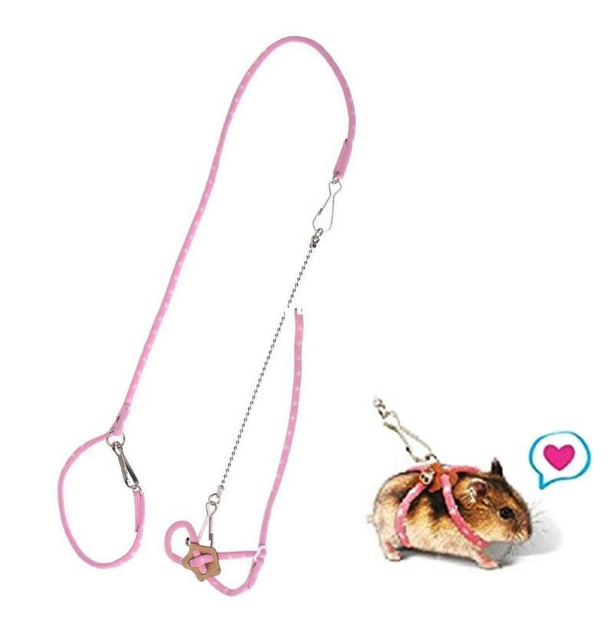 Laisse de dressage pour hamster pour usage extérieur et accessoires