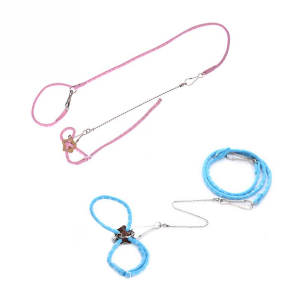 Laisse de dressage pour hamster pour usage extérieur et accessoires