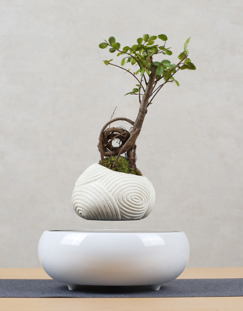 Load image into Gallery viewer, Floating Flower Pot for Home Decor

