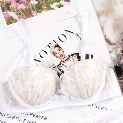 Load image into Gallery viewer, Lace Embroidered Wireless Bra and Lingerie Set
