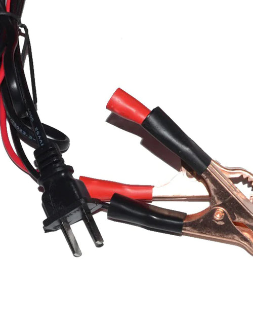 Cargar imagen en el visor de la galería, Cargador de batería sin mantenimiento 12V/24V 10A 140W de salida para coche eléctrico Pro
