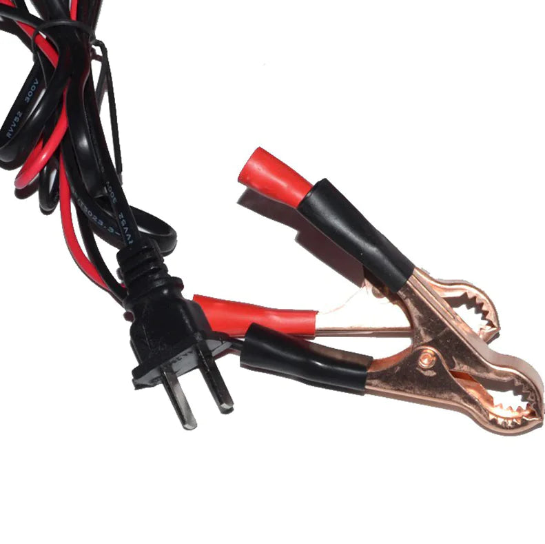 Cargador de batería sin mantenimiento 12V/24V 10A 140W de salida para coche eléctrico Pro