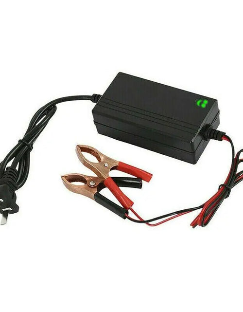 Cargar imagen en el visor de la galería, Cargador de batería portátil de 12V para auto, camión, mantenedor de goteo, barco, motocicleta
