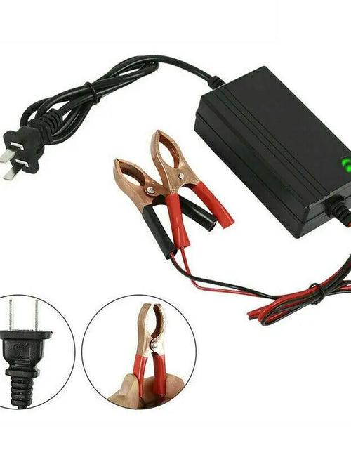 Cargar imagen en el visor de la galería, Cargador de batería portátil de 12V para auto, camión, mantenedor de goteo, barco, motocicleta
