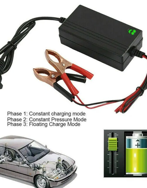 Cargar imagen en el visor de la galería, Cargador de batería portátil de 12V para auto, camión, mantenedor de goteo, barco, motocicleta
